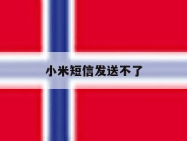 小米短信发送不了