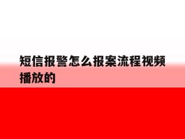 短信报警怎么报案流程视频播放的