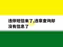 违停短信来了,违章查询却没有信息了