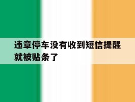 违章停车没有收到短信提醒就被贴条了