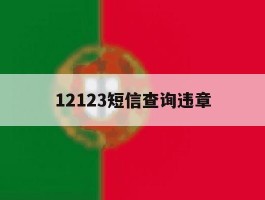 12123短信查询违章