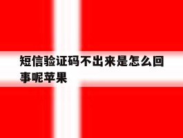 短信验证码不出来是怎么回事呢苹果