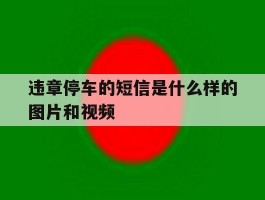 违章停车的短信是什么样的图片和视频