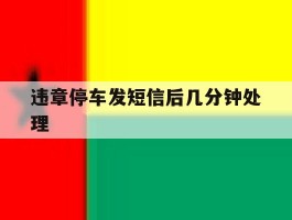 违章停车发短信后几分钟处理