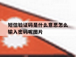 短信验证码是什么意思怎么输入密码呢图片的简单介绍