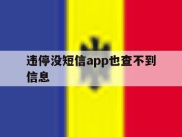 违停没短信app也查不到信息