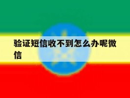 验证短信收不到怎么办呢微信
