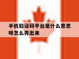 手机验证码平台是什么意思呀怎么弄出来