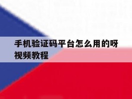 手机验证码平台怎么用的呀视频教程
