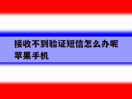接收不到验证短信怎么办呢苹果手机