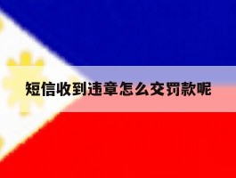 短信收到违章怎么交罚款呢