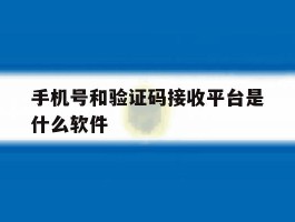 手机号和验证码接收平台是什么软件