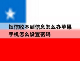 包含短信收不到信息怎么办苹果手机怎么设置密码的词条