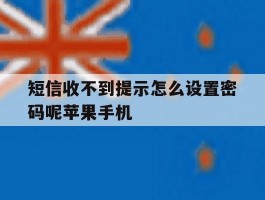 关于短信收不到提示怎么设置密码呢苹果手机的信息