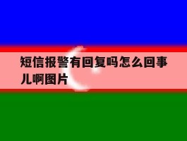 短信报警有回复吗怎么回事儿啊图片