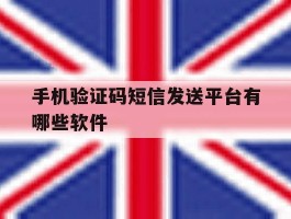 手机验证码短信发送平台有哪些软件