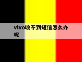 vivo收不到短信怎么办呢