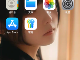 下载什么可以打网络电话呢苹果