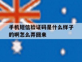 手机短信验证码是什么样子的啊怎么弄回来