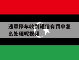 违章停车收到短信有罚单怎么处理呢视频