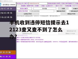 手机收到违停短信提示去12123查又查不到了怎么办?的简单介绍