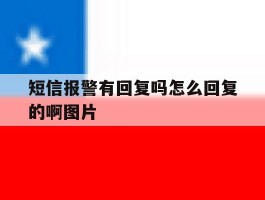 短信报警有回复吗怎么回复的啊图片