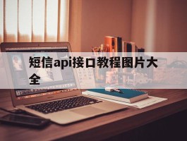 短信api接口教程图片大全
