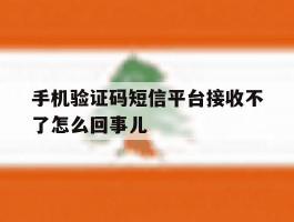 手机验证码短信平台接收不了怎么回事儿的简单介绍