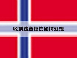 收到违章短信如何处理