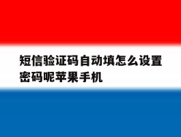 短信验证码自动填怎么设置密码呢苹果手机