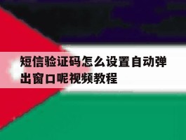 短信验证码怎么设置自动弹出窗口呢视频教程