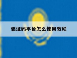 验证码平台怎么使用教程