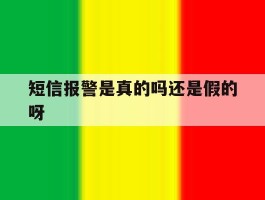 短信报警是真的吗还是假的呀