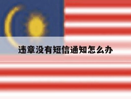 违章没有短信通知怎么办