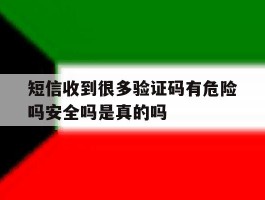 短信收到很多验证码有危险吗安全吗是真的吗的简单介绍