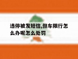 违停被发短信,但车限行怎么办呢怎么处罚的简单介绍