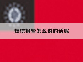 短信报警怎么说的话呢