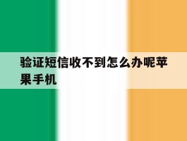验证短信收不到怎么办呢苹果手机