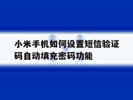 包含小米手机如何设置短信验证码自动填充密码功能的词条