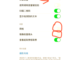 网络电话回拨模式怎么设置的呢苹果13