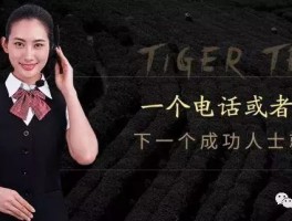怎么拨打免费网络电话客服人工服务