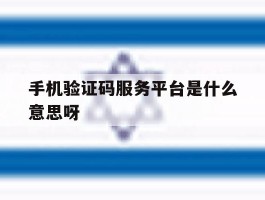 手机验证码服务平台是什么意思呀