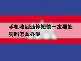 包含手机收到违停短信一定要处罚吗怎么办呢的词条