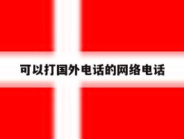 可以打国外电话的网络电话