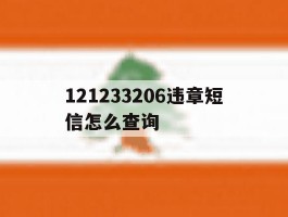 包含121233206违章短信怎么查询的词条