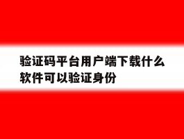 验证码平台用户端下载什么软件可以验证身份