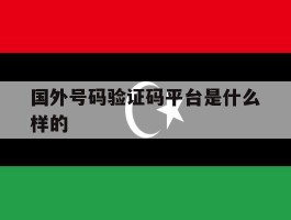 国外号码验证码平台是什么样的