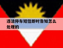 违法停车短信即时告知怎么处理的
