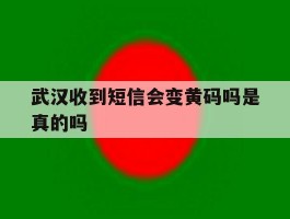 武汉收到短信会变黄码吗是真的吗