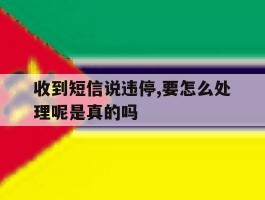 收到短信说违停,要怎么处理呢是真的吗的简单介绍